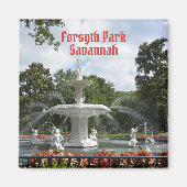Forsyth Park Fountain Savannah Georgi Fotografi Magnet (Vorne)