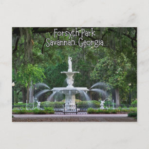 Forsyth Park Fountain, Savannah Georgia Postkarte