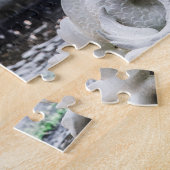 Forsyth Park Fountain | Savannah Puzzle (Seite)