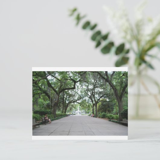 Forsyth Park in Savannah, GA Postkarte (Stehend Vorderseite)