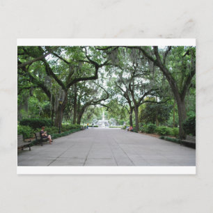 Forsyth Park in Savannah, GA Postkarte