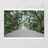 Forsyth Park in Savannah, GA Postkarte (Vorderseite)