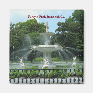 Forsyth Park Savannah Ga. Magnet