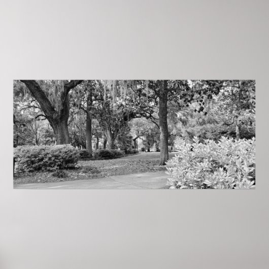 Forsyth Park, Savannah Ga Poster (Vorne)