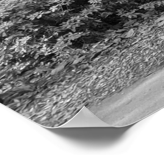 Forsyth Park, Savannah Ga Poster (Ecke)