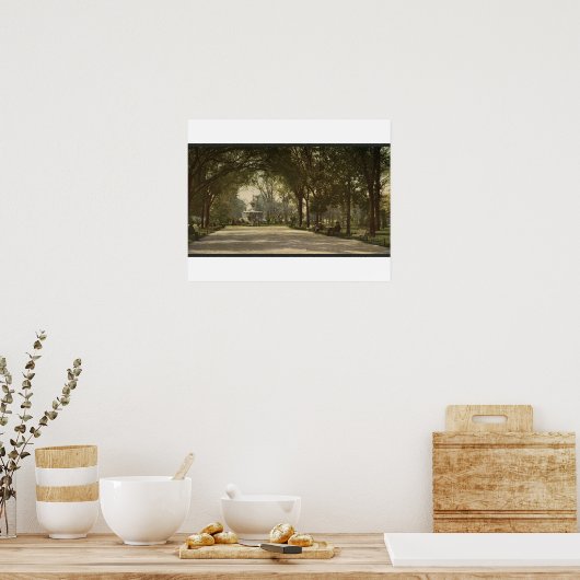 Forsyth Park, Savannah, Georgia ca. 1901 Poster (Küche)