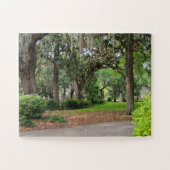 Forsyth Park, Savannah Puzzle (Horizontal)