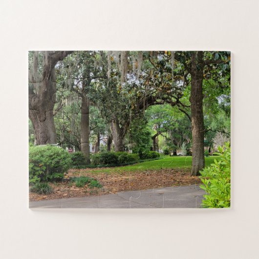 Forsyth Park, Savannah Puzzle (Horizontal)