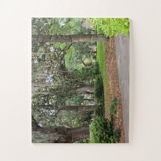Forsyth Park, Savannah Puzzle (Vertikal)