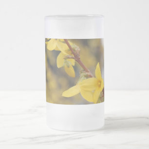 Forsythia, 迎春花, goldene Glocken Mattglas Bierglas