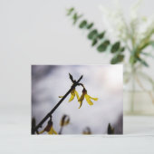 Forsythia Feiertagspostkarte (Stehend Vorderseite)