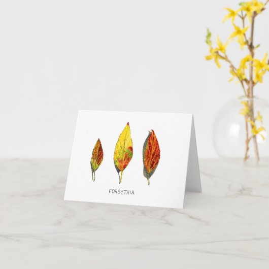 Forsythia-Herbstlaub Karte (Gelbe Blume)
