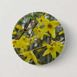 Forsythia im Springtime-Abzeichen Button
