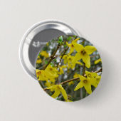 Forsythia im Springtime-Abzeichen Button (Vorne & Hinten)