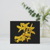 Forsythia Postcard Postkarte (Stehend Vorderseite)