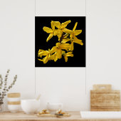 Forsythia Print Poster (Küche)