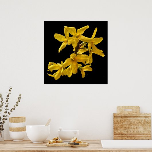 Forsythia Print Poster (Küche)