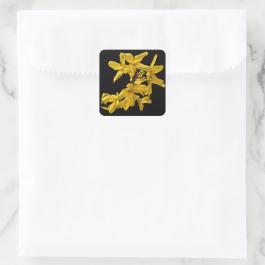 Forsythia Stickers (Tasche)