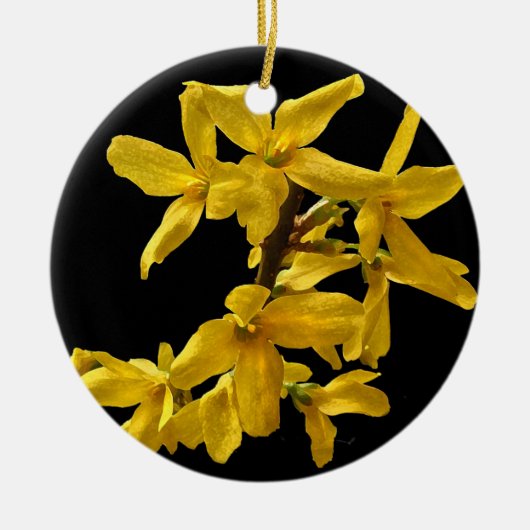 Forsythia-Verzierung Keramikornament (Vorne)