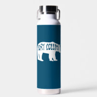 Fort Collins Colorado Bear
