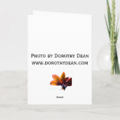 Fort Kam Sonnenuntergang Karte (Rückseite)