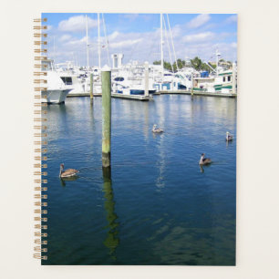 Fort Lauderdale, Florida Planer