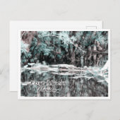 FORT MYERS FLORIDA POSTKARTE (Vorne/Hinten)