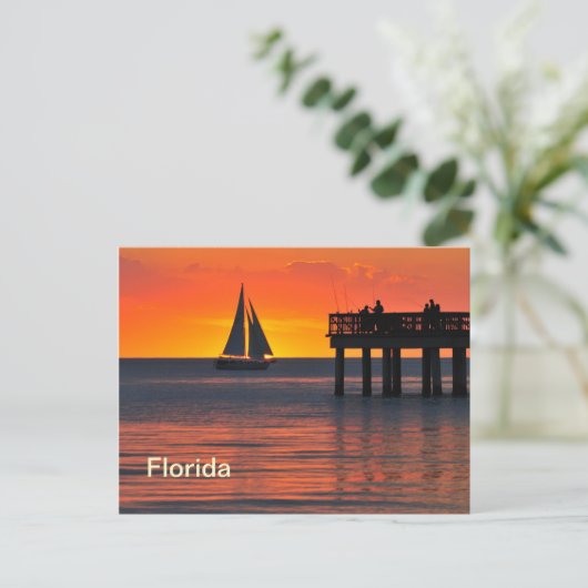 Fort Myers Sonnenuntergang Postkarte (Stehend Vorderseite)
