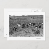 Fort Rock, Oregon Cowboy im Teufelsgarten Postkarte (Vorne/Hinten)