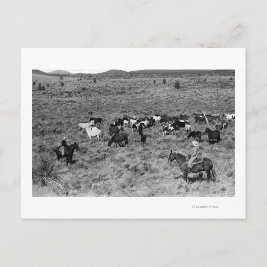 Fort Rock, Oregon Cowboy im Teufelsgarten Postkarte (Vorderseite)