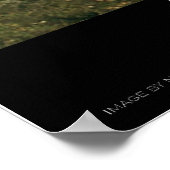 Fort Worth - Dallas, Texas aus dem All Poster (Ecke)