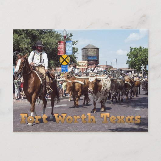 Fort Worth Texas Cattle Drive Postcard Postkarte (Vorderseite)