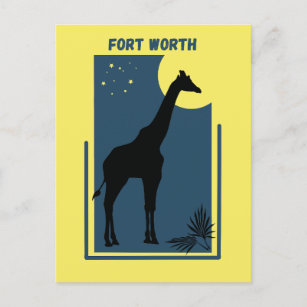 Fort Worth Zoo Texas Vintag Giraffe Postkarte