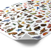 Fortbildung von Tieren Poster (Ecke)