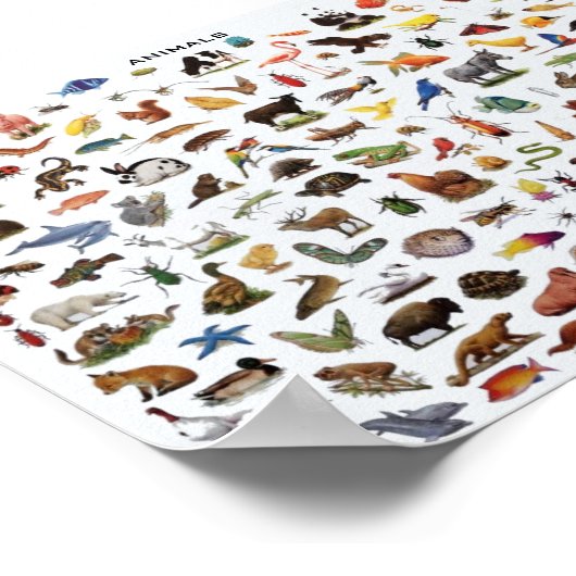 Fortbildung von Tieren Poster (Ecke)