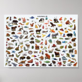 Fortbildung von Tieren Poster (Vorne)