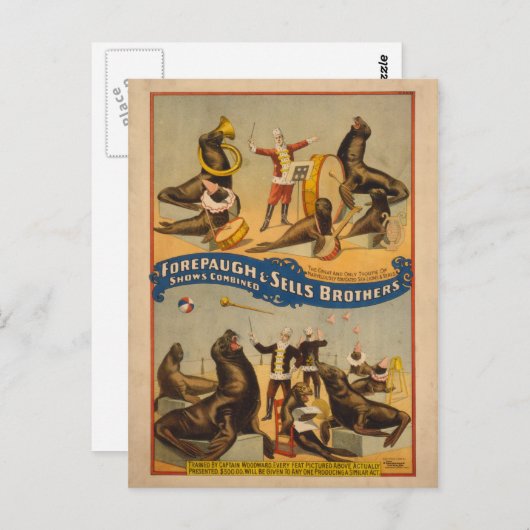 Fortgeschrittene Siegel Circus Poster - Forepaugh Postkarte (Vorne/Hinten)