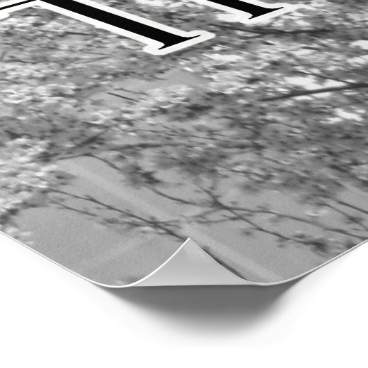 Forth und Equer Motivierend Cat Poster (Ecke)