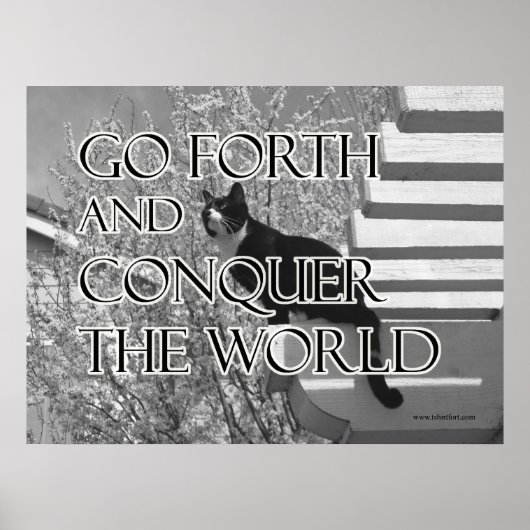 Forth und Equer Motivierend Cat Poster (Vorne)
