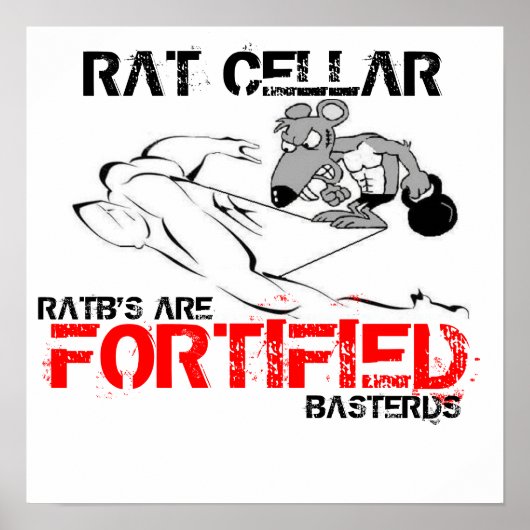 FORTIFIZIERTER POSTER (Vorne)