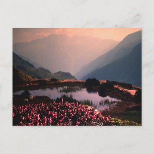 FORTSCHRITT POSTKARTE