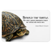 Fortschritte Magnet (Horizontal)