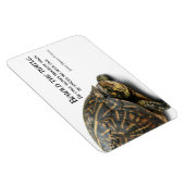 Fortschritte Magnet (Rechte Seite)