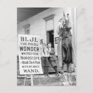 Fortune Teller auf der Landkreis Fair, 1910 Postkarte