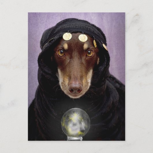 Fortune Teller Postkarte (Vorderseite)