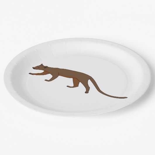 Fossa Pappteller (Schrägansicht)