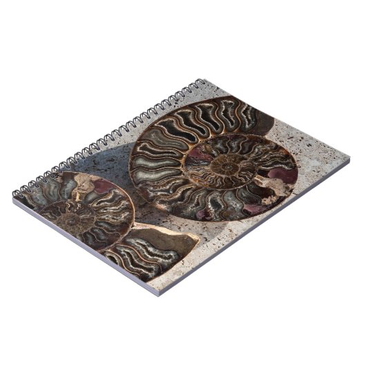 Fossil-Ammonit-Notebook Notizblock (Linke Seite)