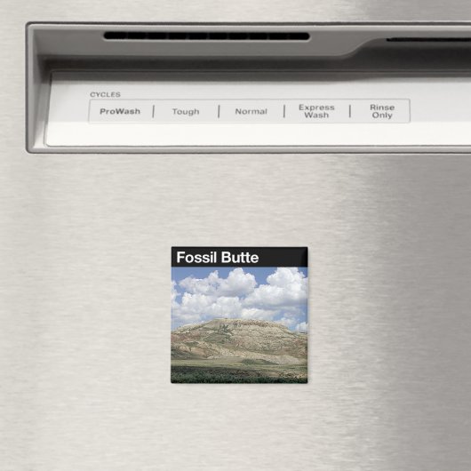 Fossil Butte National Monument Magnet (In Situ (Geschirrspüler))