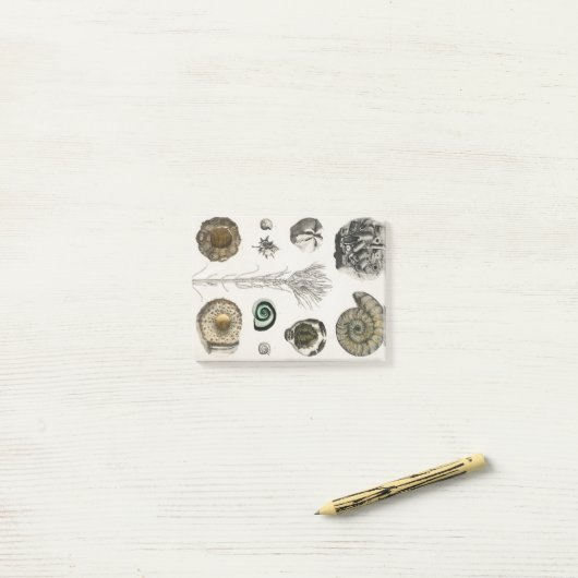 Fossil, Dinosaurier, Fossilien, Paläontologie, Geo Post-it Klebezettel (Auf Schreibtisch)