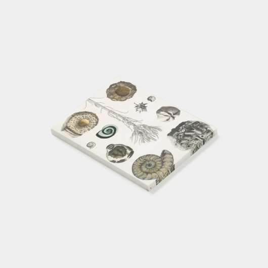 Fossil, Dinosaurier, Fossilien, Paläontologie, Geo Post-it Klebezettel (angewinkelt)